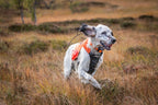 Hunting Dog Vest product image 6