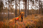 Hunting Dog Vest product image 7