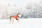 Hunting Dog Vest product image 8