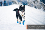 Dog Bootie product image 2