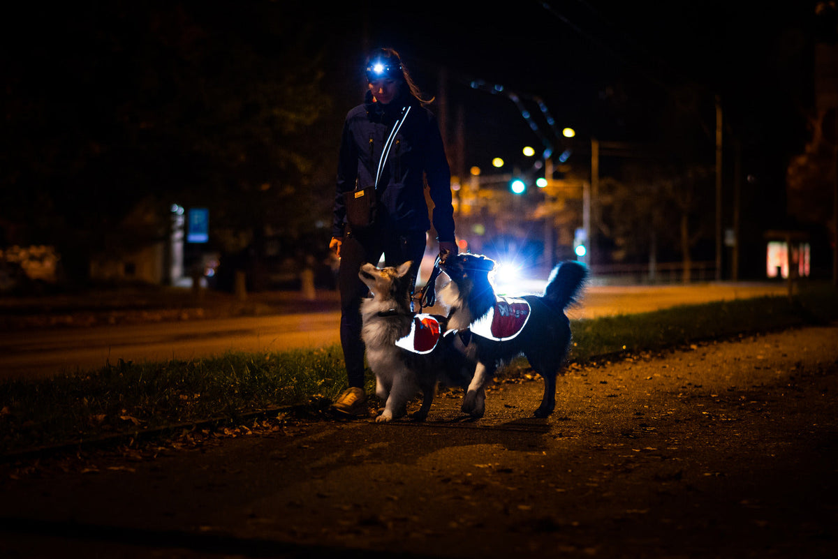Reflective Dog Blanket product image 2