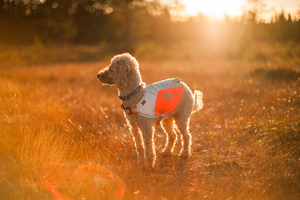 Reflective Dog Blanket product image 5