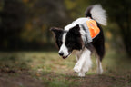 Reflective Dog Blanket product image 7