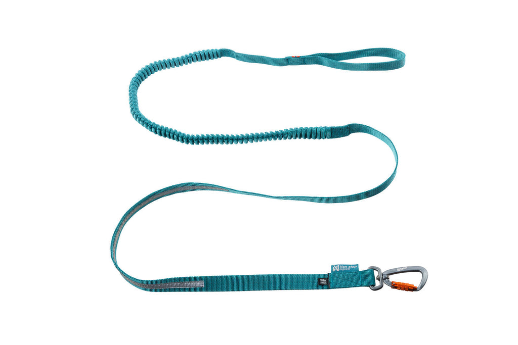 Elastic Dog Leash product image 1
