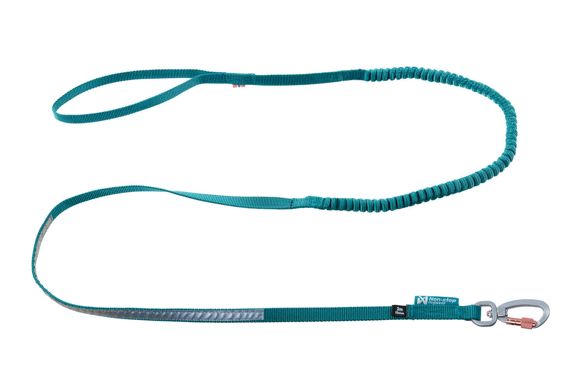 Elastic Dog Leash product image 5