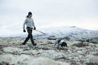 Elastic Dog Leash product image 9