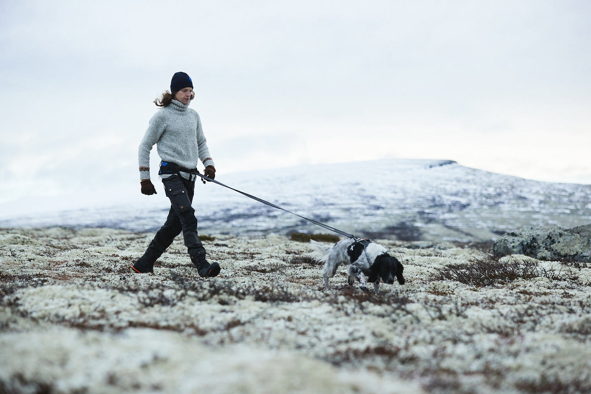 Elastic Dog Leash product image 9