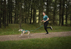Elastic Dog Leash product image 11