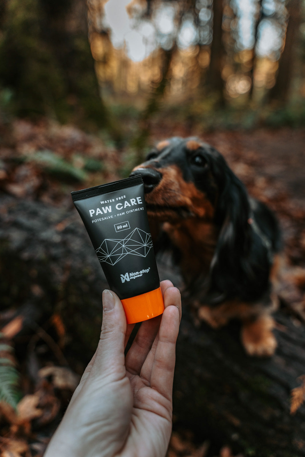 Dog Paw Ointment product image 4
