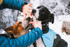 Dog Paw Ointment product image 6