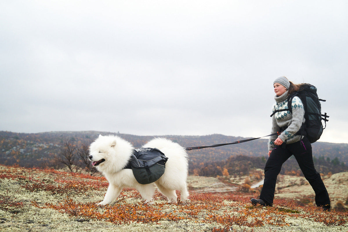 Hands-Free Dog Leash product image 2