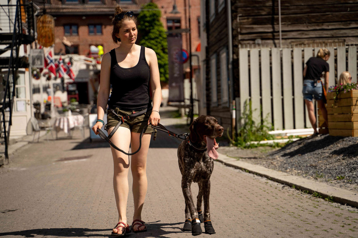 Hands-Free Dog Leash product image 4