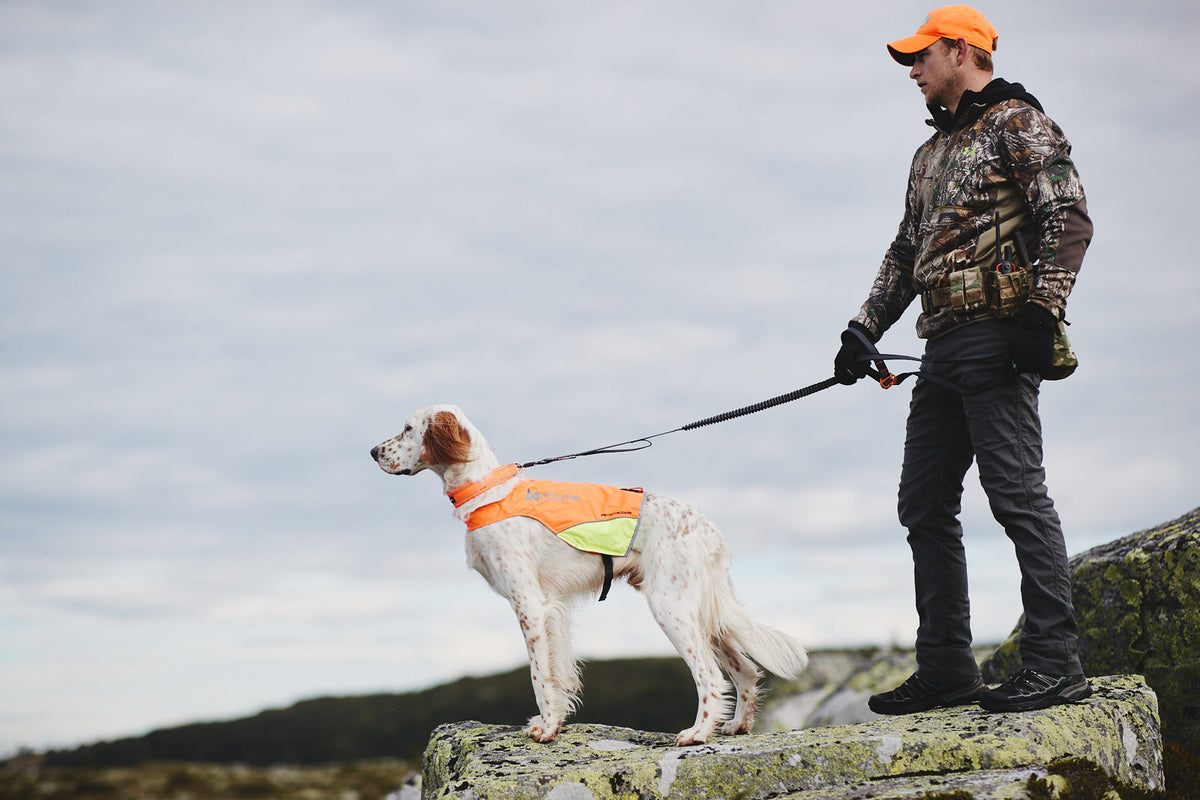 Hands-Free Dog Leash product image 5
