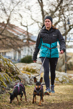 Hands-Free Dog Leash product image 7