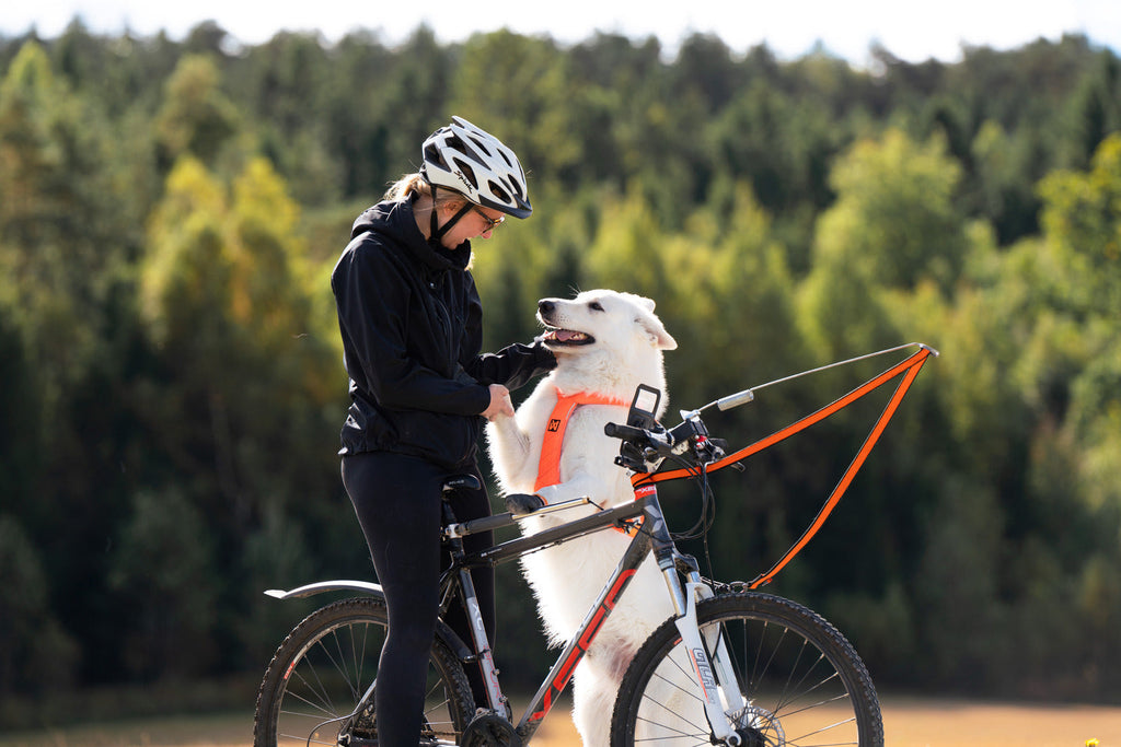 Dog Bike Antenna product image 6