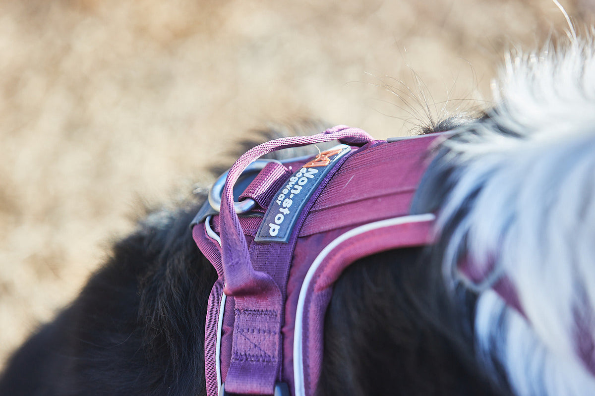 Dog Harness product image 8