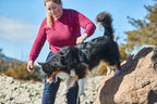 Dog Harness product image 10