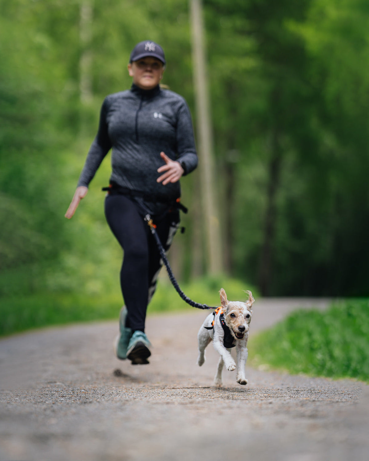 Dog Harness product image 14