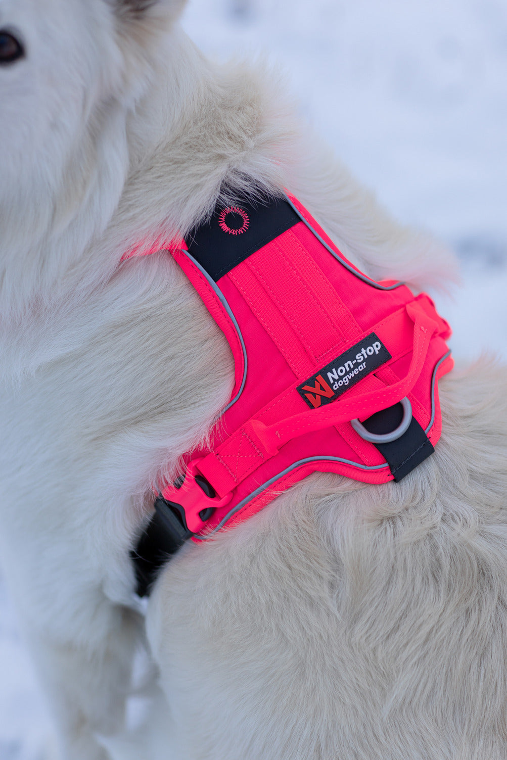 Dog Harness product image 19