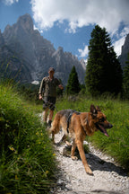 Dog Harness product image 4
