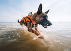 Dog Life Jacket product image 2