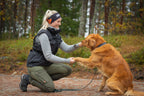 Dog Training Vest product image 3