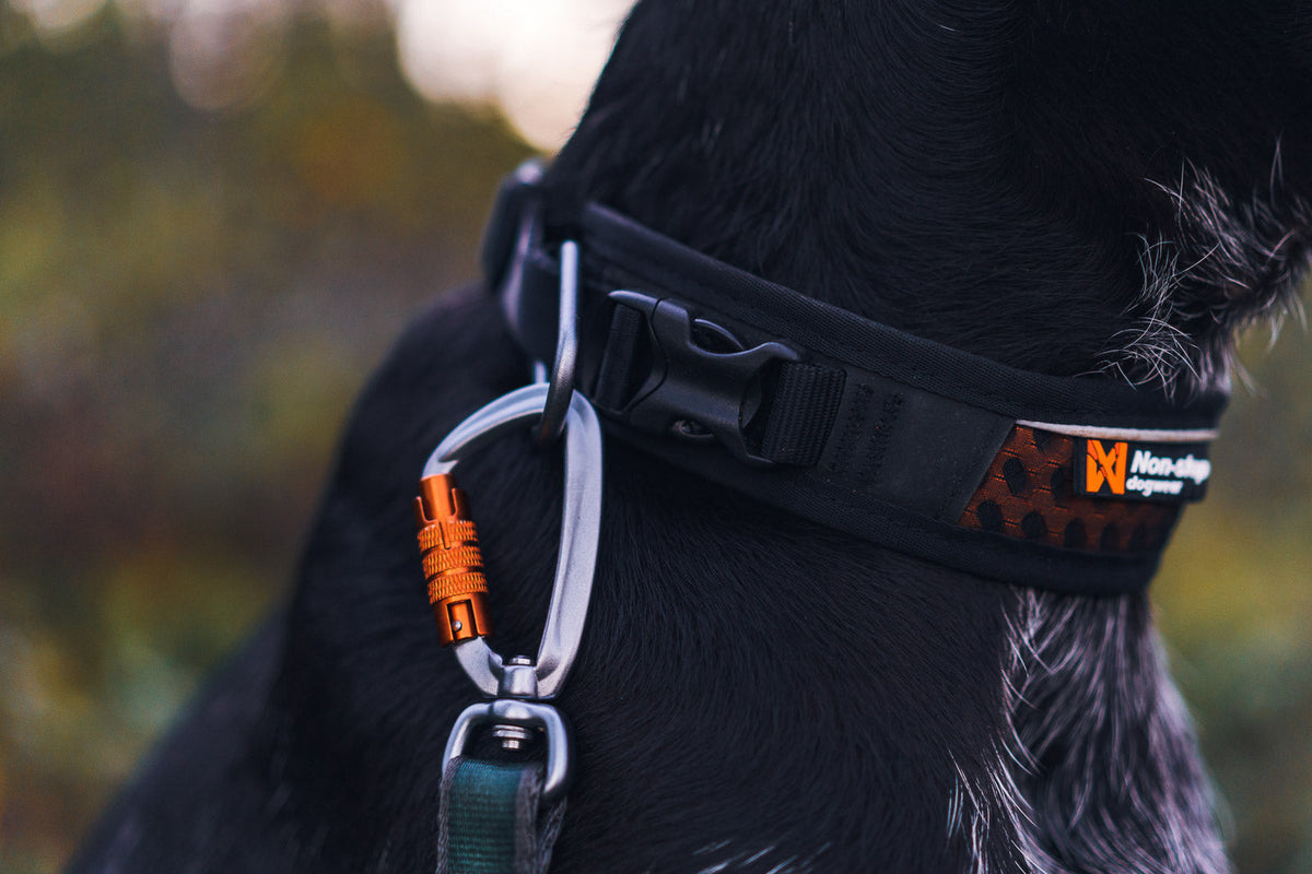Adjustable Dog Collar product image 4