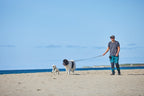 Dog Leash product image 10