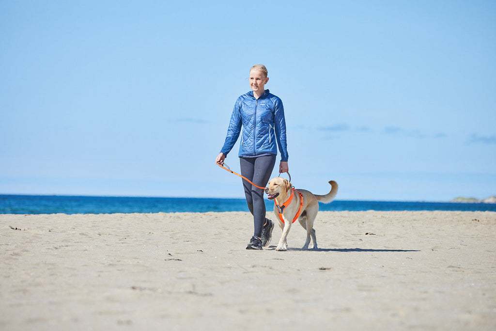 Dog Leash product image 12