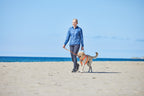 Dog Leash product image 12