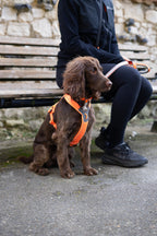 Dog Harness product image 10