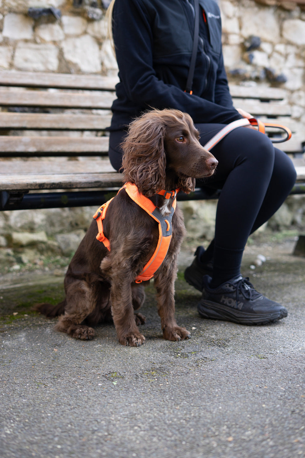 Dog Harness product image 10