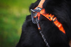 Dog Harness product image 11