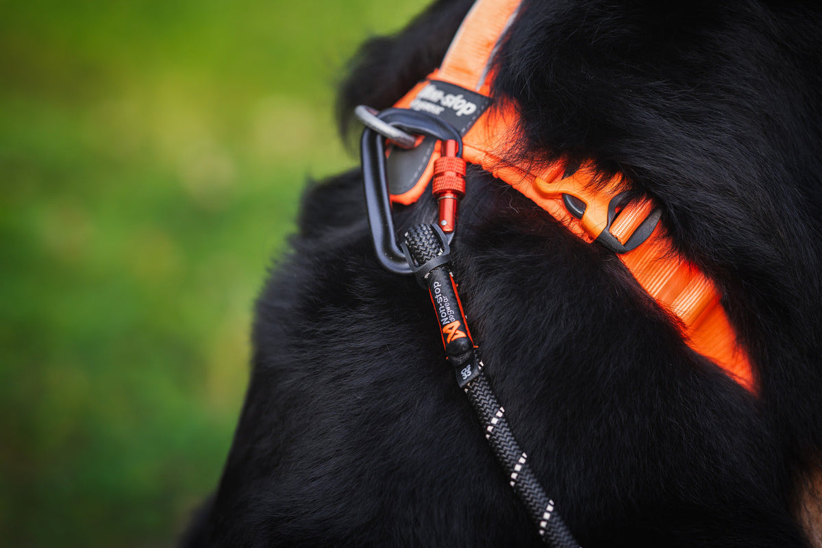 Dog Harness product image 11