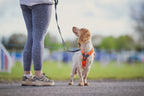 Dog Harness product image 14