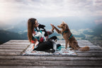 Dog Harness product image 19
