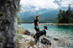 Dog Harness product image 20