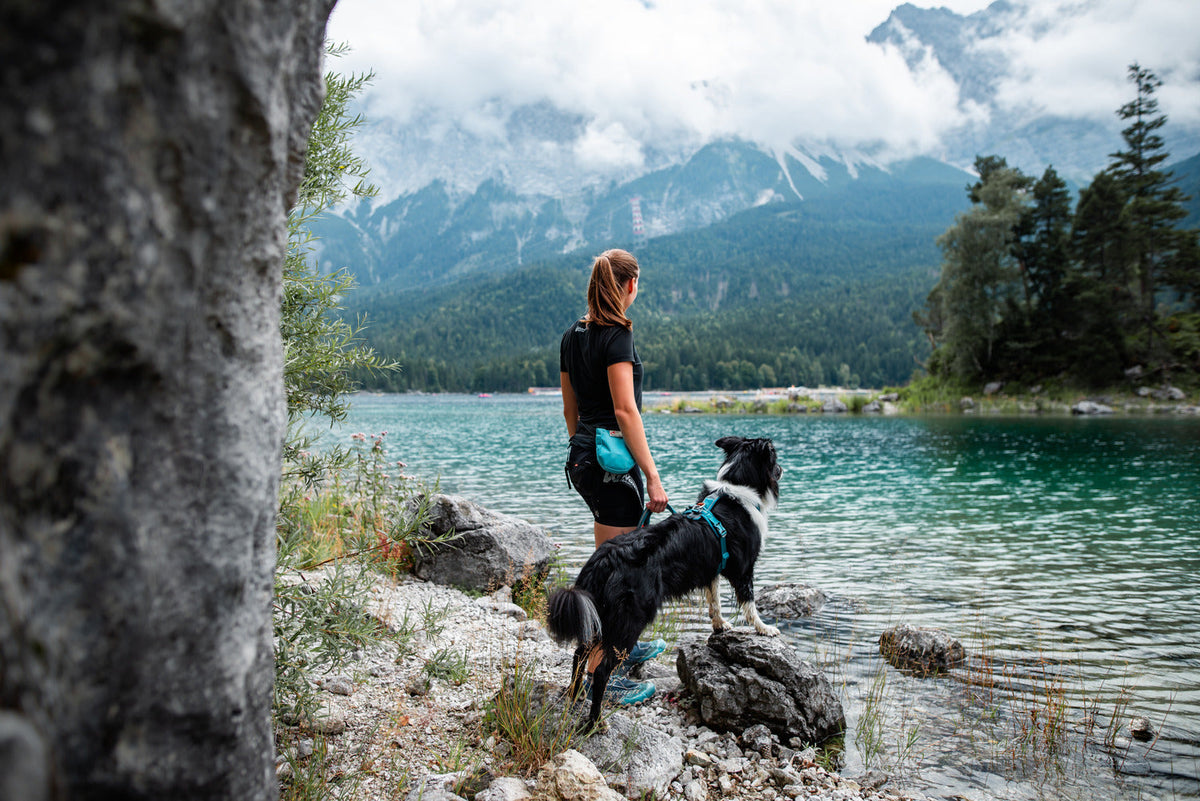 Dog Harness product image 20