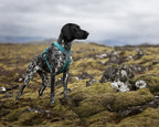 Dog Harness product image 22