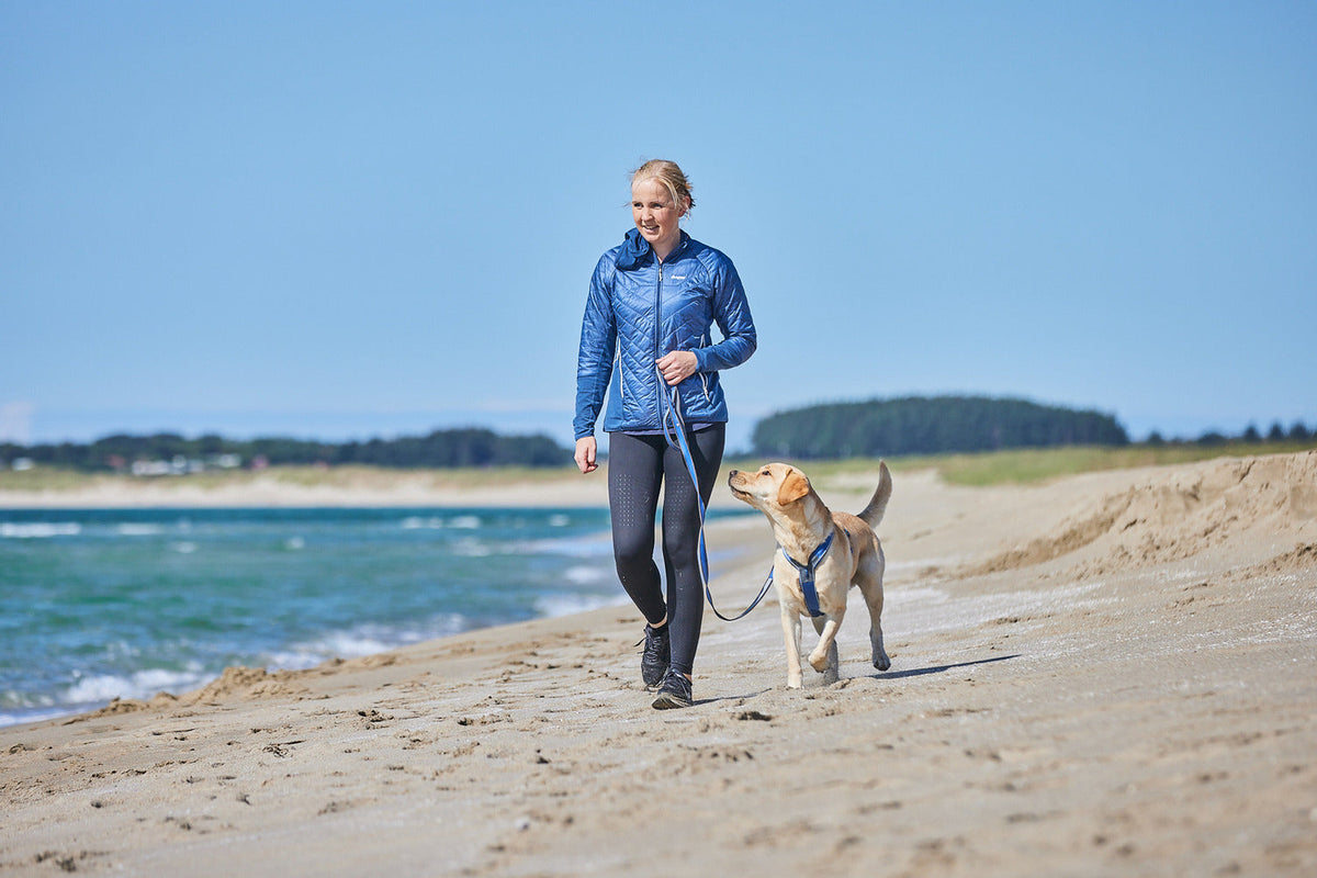Dog Harness product image 24