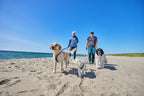 Dog Harness product image 26