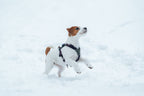 Dog Harness product image 29