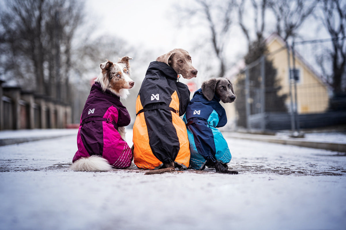 Dog Winter Jacket product image 2