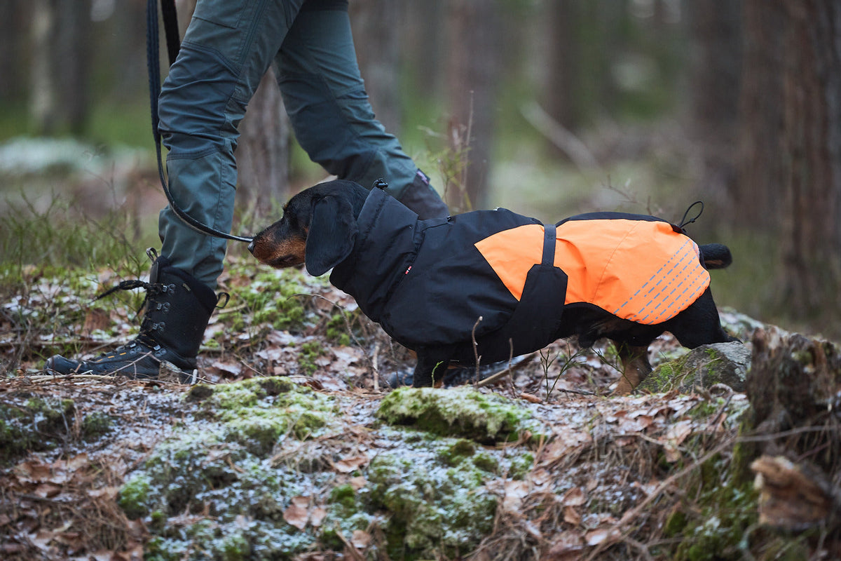 Dog Winter Jacket product image 6