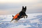 Dog Winter Jacket product image 7
