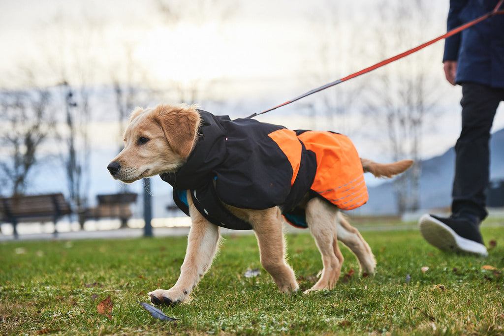 Dog Winter Jacket product image 8