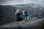Dog Winter Jacket product image 9