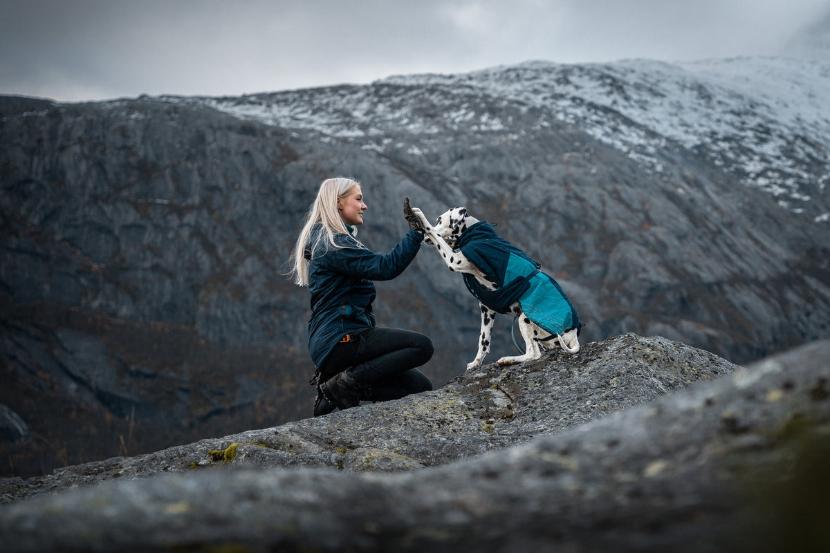 Dog Winter Jacket product image 9