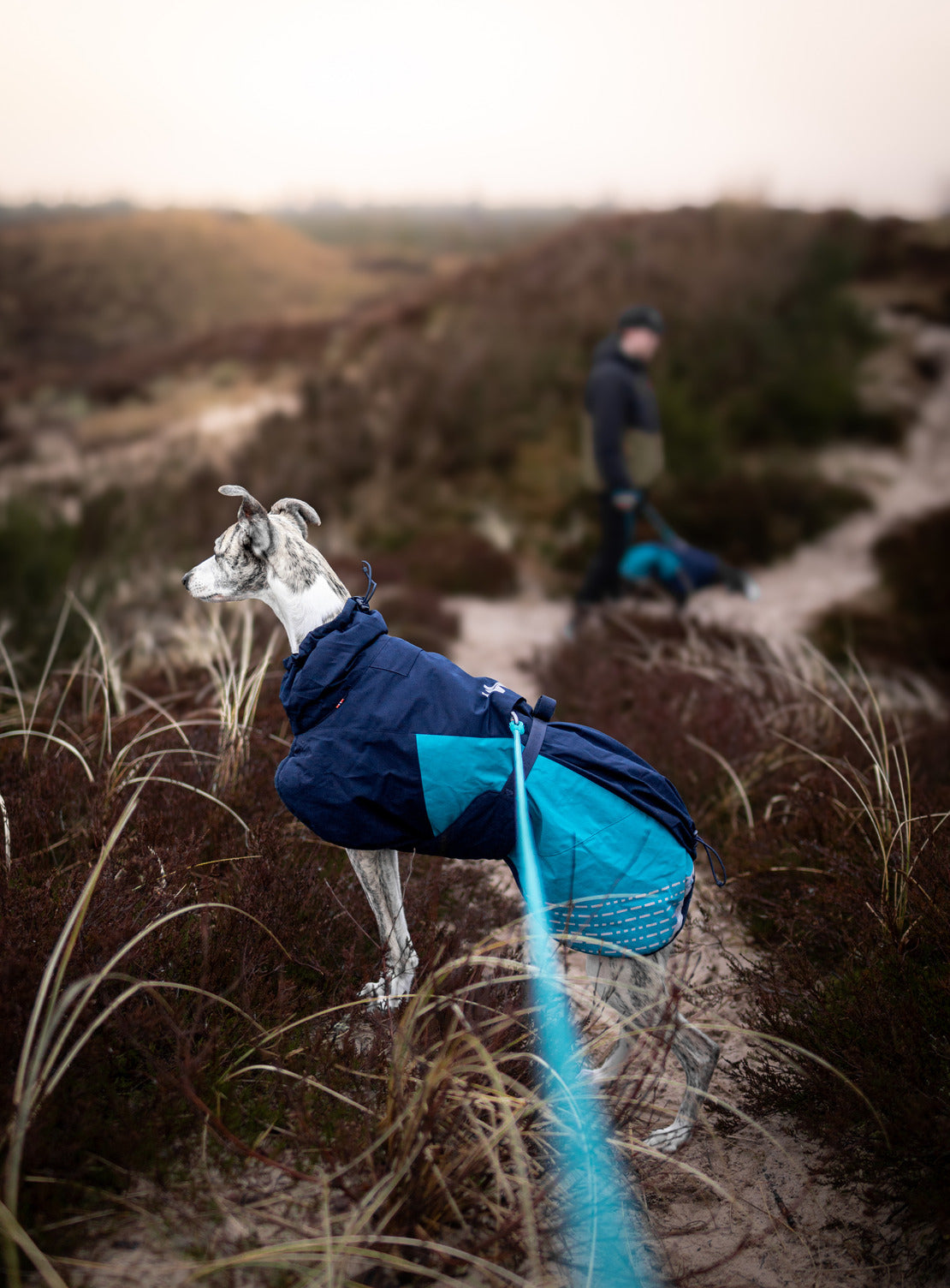 Dog Winter Jacket product image 12