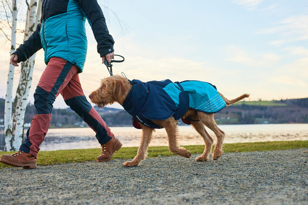 Dog Winter Jacket product image 13